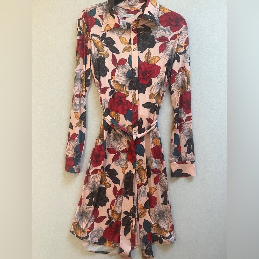 Anatomie Cassie Secret Garden Floral Long Sleeve Shirt Dress Size L